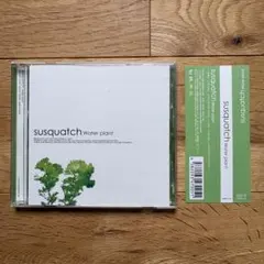 【廃盤CD】susquatch / Water plant 帯付き — image 1