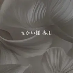 専用 — image 1