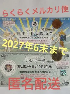 テルマー湯　２枚　匿名配送　らくらくメルカリ便　2027年6月30日まで有効 — image 1