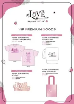 ＝LOVE Beyond "KYUN"♡ VIPプレミアムチケット　グッズ 4点 — image 1