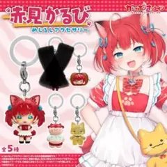 24時間以内匿名発送　赤見かるび　めじるしアクセサリー　セミコンプリート — image 1