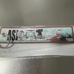 非売品★JAL フライトタグ — image 1
