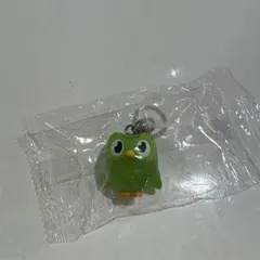 Duolingo めじるしアクセサリー — image 1