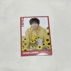 FANTASTICS 佐藤大樹 SUNFLOWER フォトカード — image 1