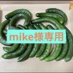 mike様専用 — image 1