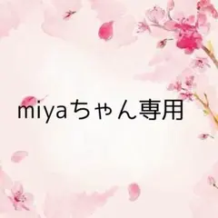 miyaちゃん専用、アメステなど — image 1