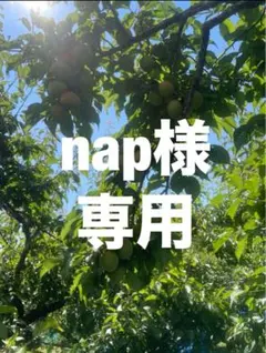 nap様ご専用 — image 1