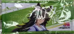 ウマ娘 6thミニ応援タオルキーホルダー ミスターシービー — image 1