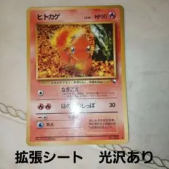 ヒトカゲ ◆ 拡張シート第1弾(青版)　旧裏　ポケモンカード — image 1
