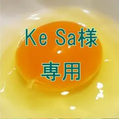 Ke Sa様 専用 — image 1