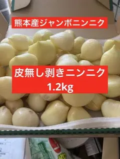 ジャンボニンニク　ニンニク　香味野菜　野菜　農薬不使用　農家直送 — image 1