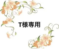 T様専用 — image 1