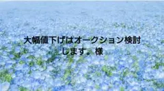 大幅値下げはオークション検討します。様専用 — image 1
