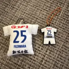 アルビレックス新潟 藤原奏哉 キーホルダー 2点セット — image 1