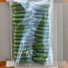 【朝採れ新鮮‼️鹿児島・指宿産オクラ（正品）】32本入り — image 1