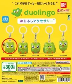 Duolingo めじるしアクセサリー — image 1