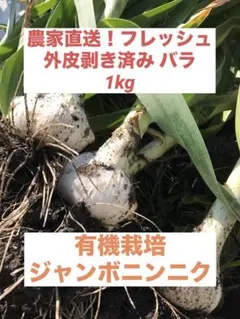 【農薬不使用】生ジャンボニンニク外皮剥き済みバラ1kg — image 1