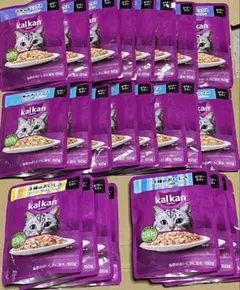 kalkan カルカン パウチ 猫用ウェットフード 60ｇ×24袋 ゼリー仕立② — image 1