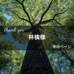 林檎様専用ページ(7月5日までお取置き可能) — image 1