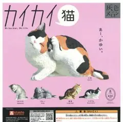 灰色メロン カイカイ 猫 全5種セット【未開封】/一途組立有り — image 1