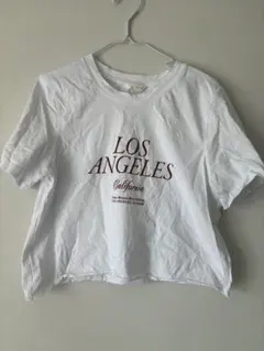 ZARA LOS ANGELES クロップドTシャツ ホワイト S — image 1