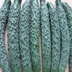 味さんご — image 1