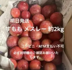 すもも メスレー 箱込み約2kg — image 1