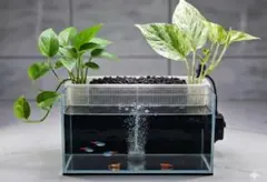 水槽アクアポニックス吊り下げ式プランターボックス(色:ブラック) — image 1