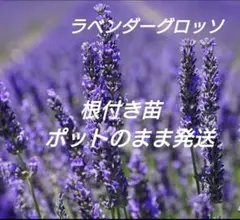 arisu様 リクエスト 2点 まとめ商品 — image 1