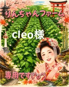 ② たんくろう 黒枝豆 — image 1