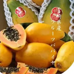 宮崎県産 フルーツパパイヤ サンライズソロ　1kg(2～３玉） — image 1