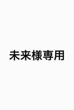 未来様専用 — image 1
