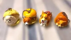 コーギー2　ポメラニアン　ビーグル — image 1