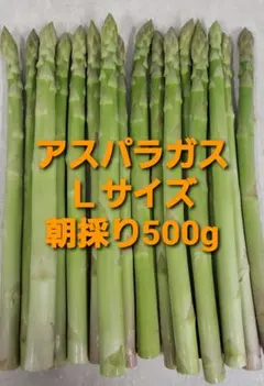 グリーンアスパラＬサイズ500g — image 1