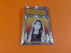 向井地美音　AKB48 SPECIALくじ　2連アクリルキーホルダー　日本武道館 — image 1