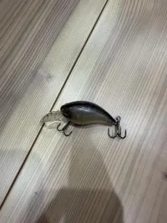 エバーグリーン　ワイルドハンチsr — image 1