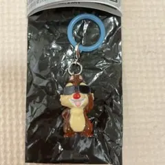 新品未使用　めじるしアクセサリー　ディズニーsummer デール — image 1