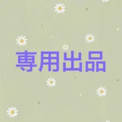 専用出品 ハピカ — image 1