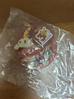 ポケモン　ガスト　ホゲータ　アクリルチャーム　ガチャ　チャームコレクション — image 1