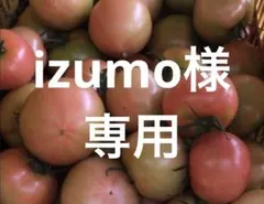 izumo様　専用 — image 1