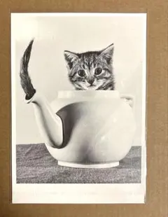 猫ポストカード　白黒 — image 1