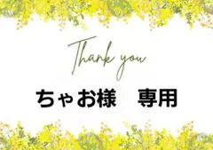 ちゃお様　専用 — image 1