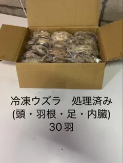 冷凍ウズラ(処理済み)30羽 8500円　送料込み — image 1