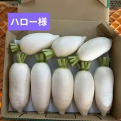 ハロー様専用★辛味大根『おいばね』コンパクト発送 — image 1