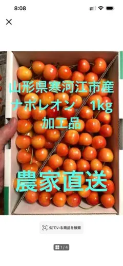 山形県寒河江市産さくらんぼ　大玉ナポレオン ジャム・加工用 1kg 農家直送 — image 1