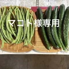 6/20 マコト様専用 — image 1