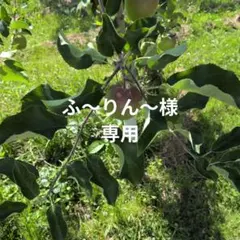 ふ〜りん〜様専用 — image 1