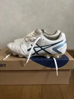 ⭐️絶対洗って渡します⭐️値下げいけますasics DS LIGHT hg ホワイト — image 1