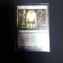 MTG 草むした墓 — image 1