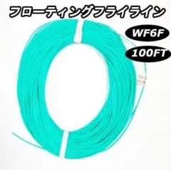 ★フライフィッシング　フローティング　フライラインWF6F — image 1